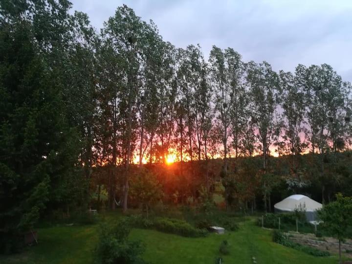 La Yourte Au Fonds Du Jardin Xhoris Экстерьер фото
